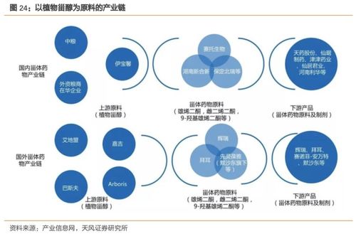 溢多利 專注研發(fā)創(chuàng)新的生物技術(shù)隱形冠軍，替抗業(yè)務(wù)迎來高增長