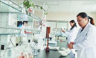 玉米芯變廢為寶 生物技術的綠色革新之路